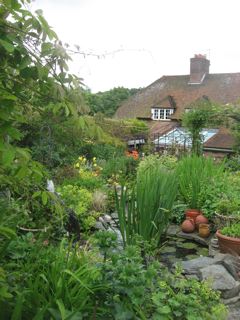 The garden of Rosemary Miller