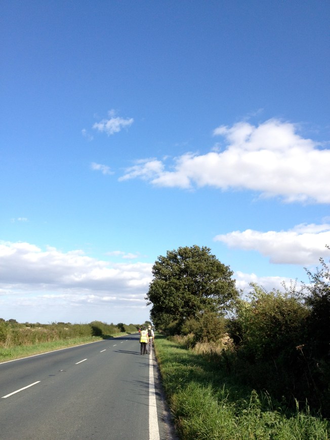 ZANE's 2012 fundraising walk