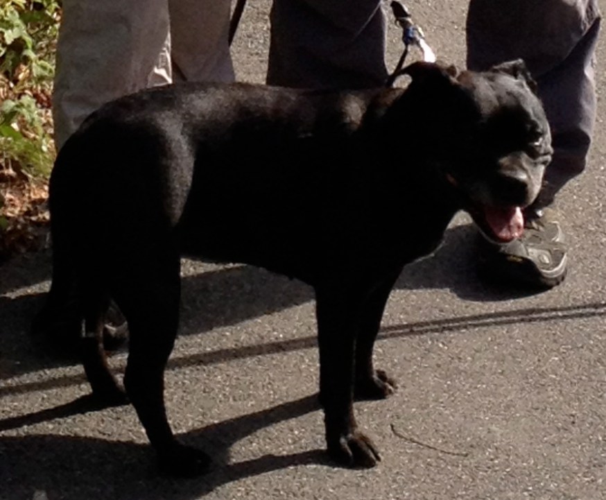 Leah - ZANE supporter