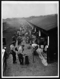 Shoeing horses in France (Creative Commons - details as in b/w photograph above)