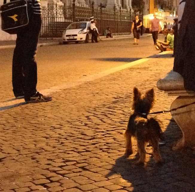 The Piazza Navona in Rome