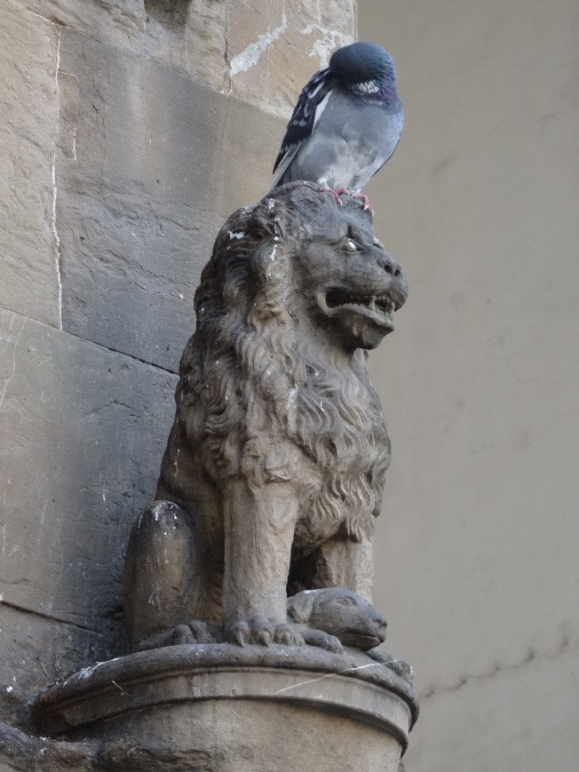 A pigeon on a statue in Florence