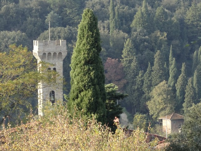 View down the hillside below Fiesole