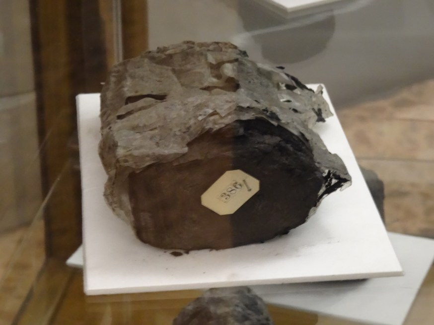 Herculaneum papyrus Naples