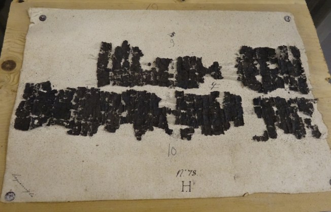 a Latin text from one of the Herculaneum papyri
