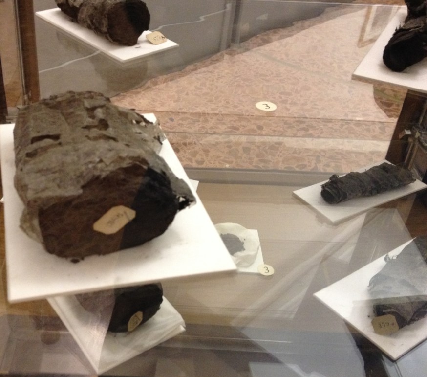 Charred papyri scrolls