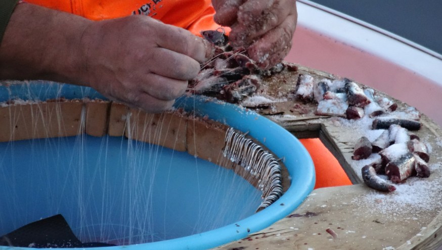 Getting ready to put to sea in the old harbour in Pozzuoli