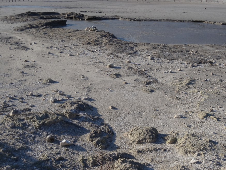 Grey, bubbling mud at La Solfatara in Pozzuoli
