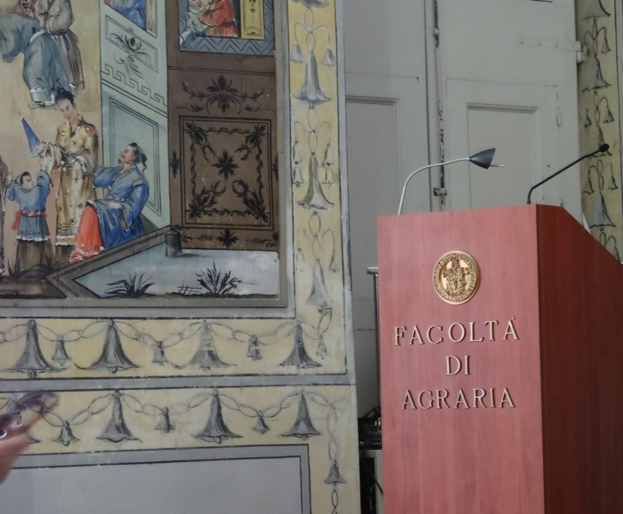 Detail from the Chinese room in the palazzo in Portici