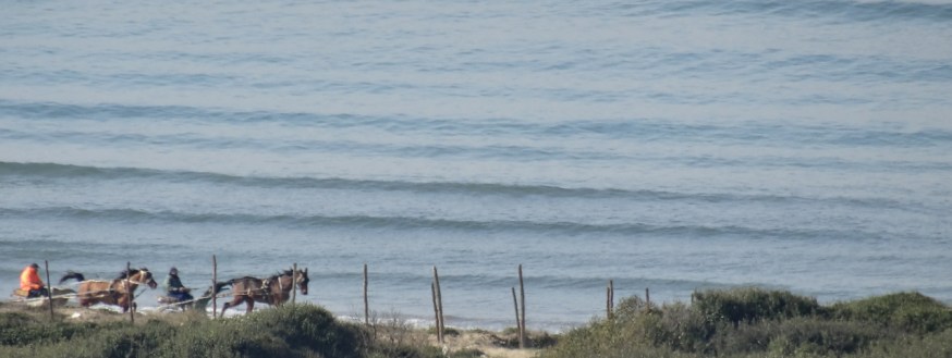 Flashes on the shoreline in Cuma