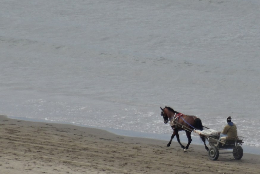 View from the top of the acropolis