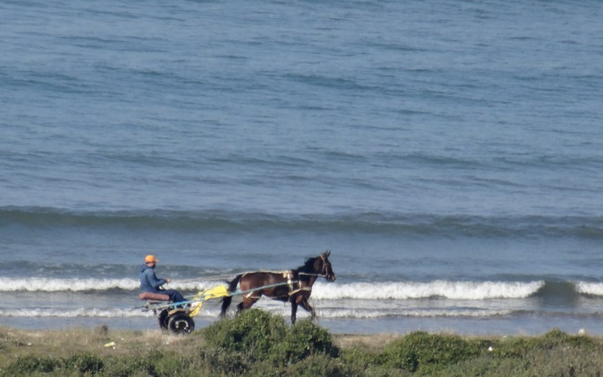 Flashes on the shoreline in Cuma