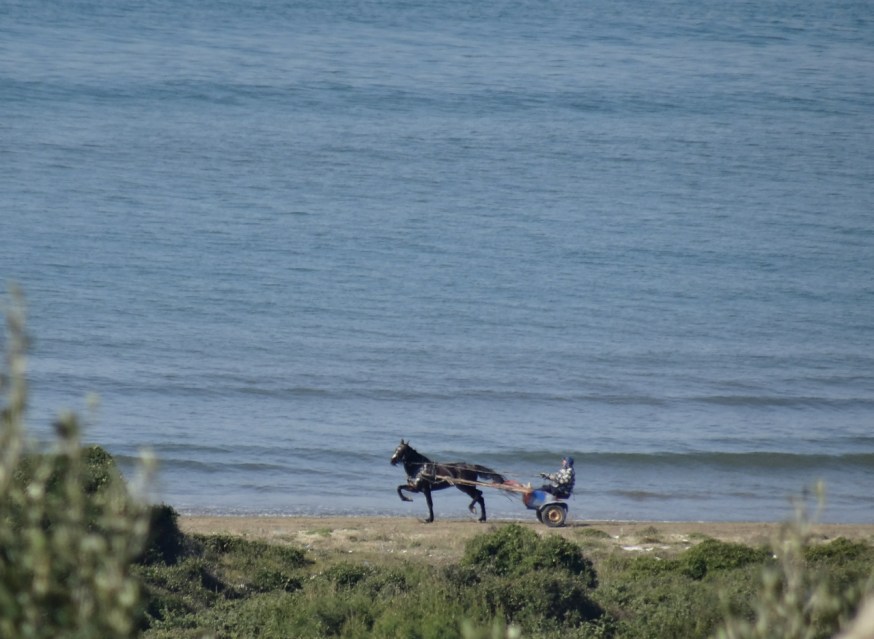 Flashes on the shoreline in Cuma