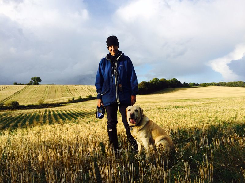 Django and Danish staff