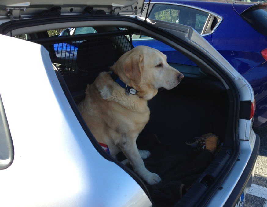 Django en route south