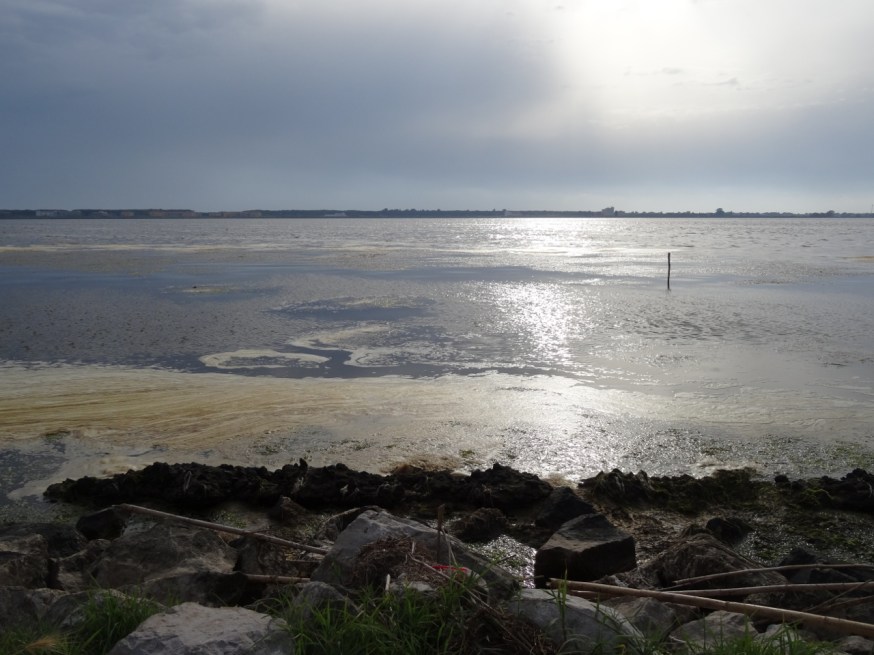 Foam on the water - Lago di Patria