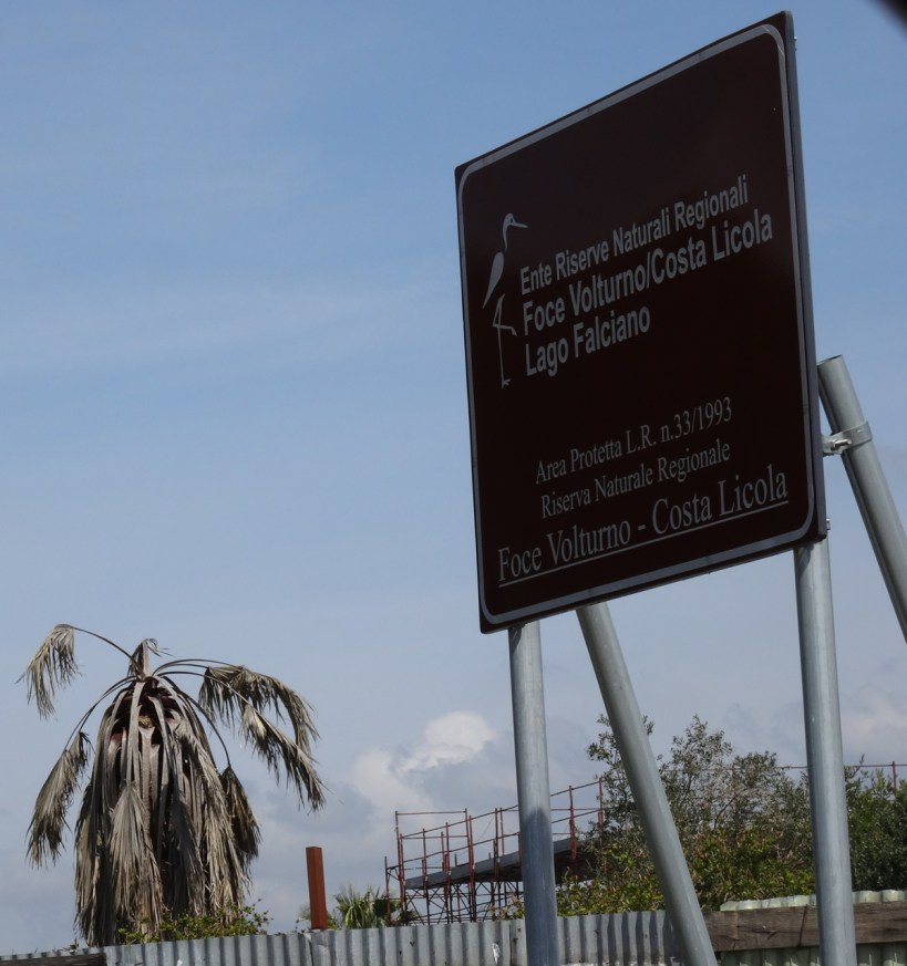 Where have all the birds gone?