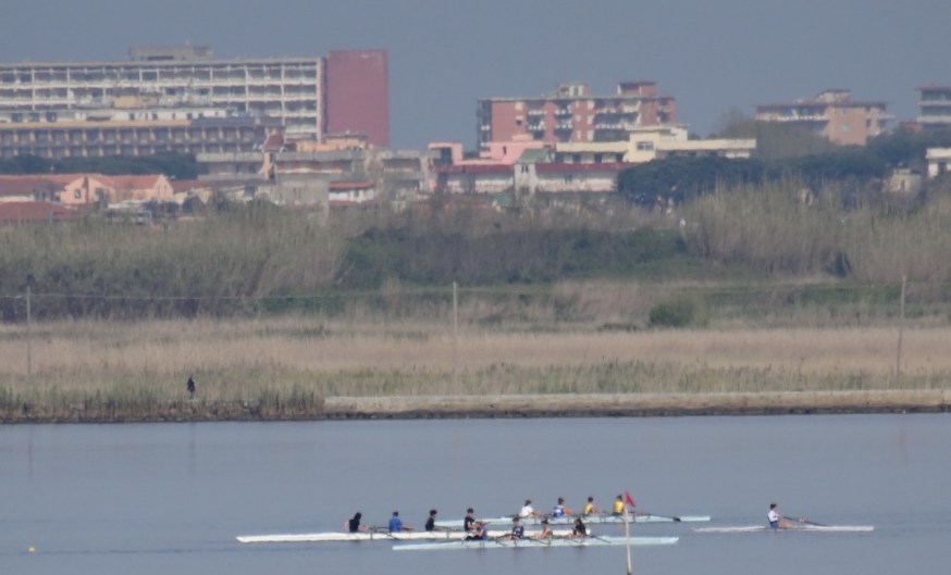 Rowers on Lago di Patria