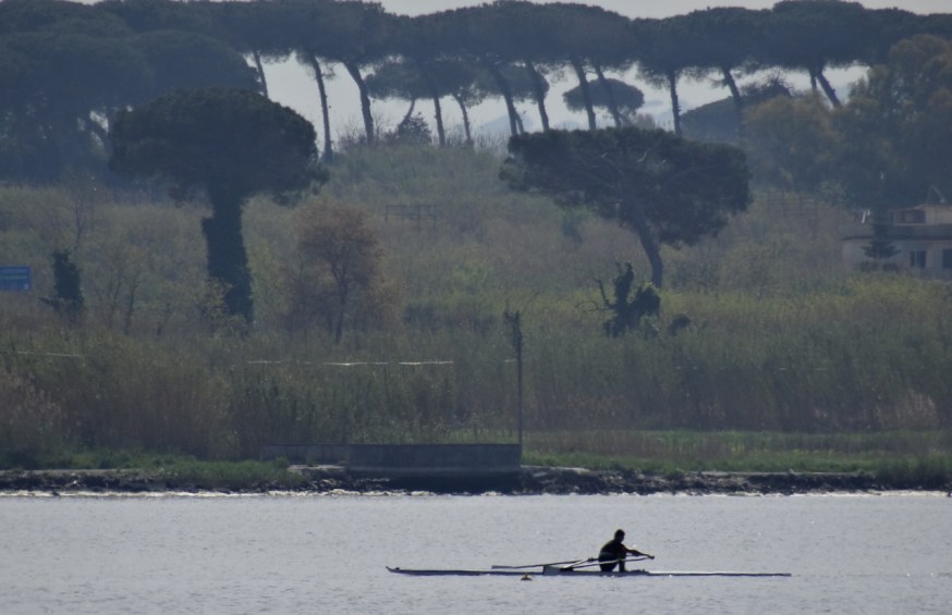 Sculler on Lago di Patria