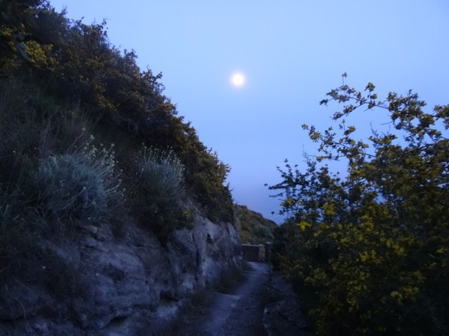 The last of the sun and the first of the moon on Capo Miseno