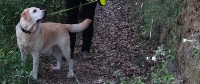 The sounds of Capo Miseno