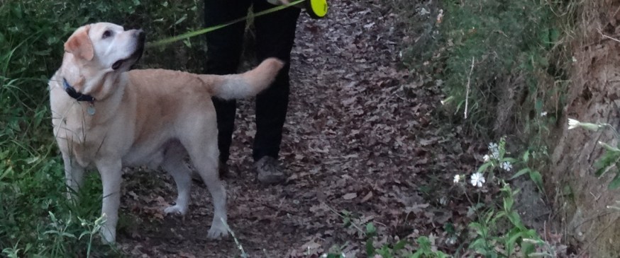 The sounds of Capo Miseno