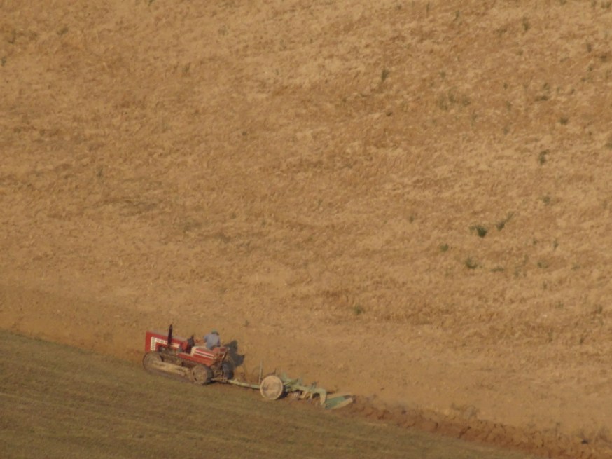 Evening ploughing