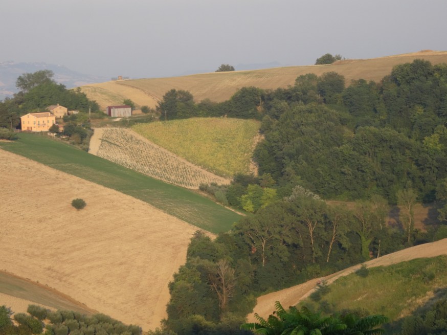 The well-worked fields around Montelparo, Le Marche