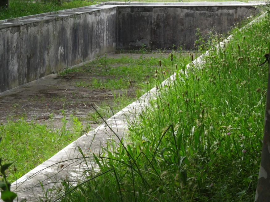 The ancient pool in the Villa San Marco, Stabiae