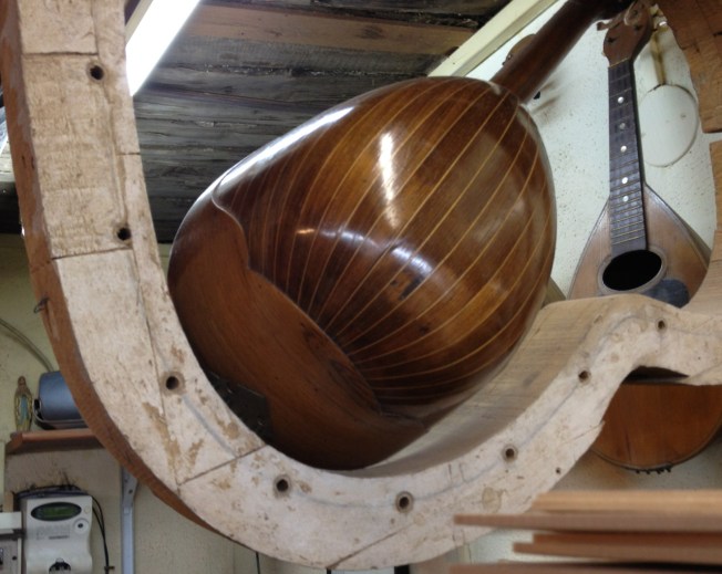 The deep curves of the bowlback Neapolitan mandolin