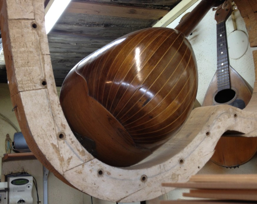 The deep curves of the bowlback Neapolitan mandolin