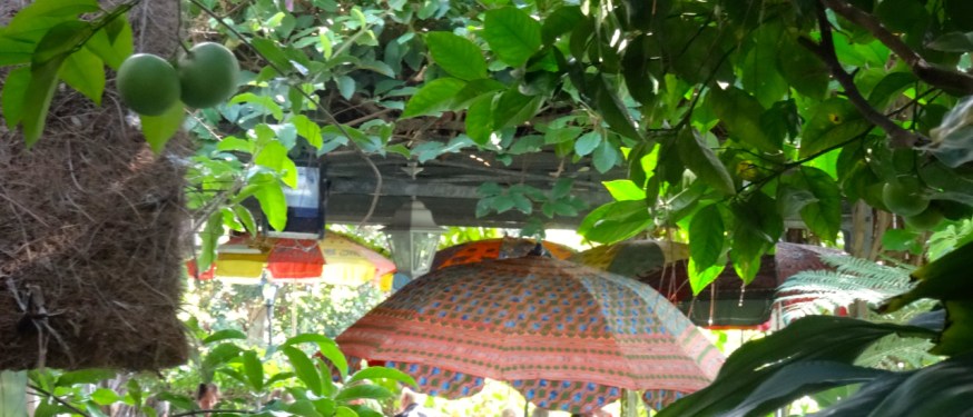 The shade for tea in La Mortella, Ischia