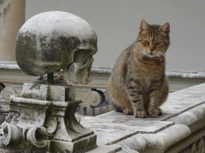 Keeping watch over the burial ground in the cloisters in the Certosa di San Martino in Naples, Italy