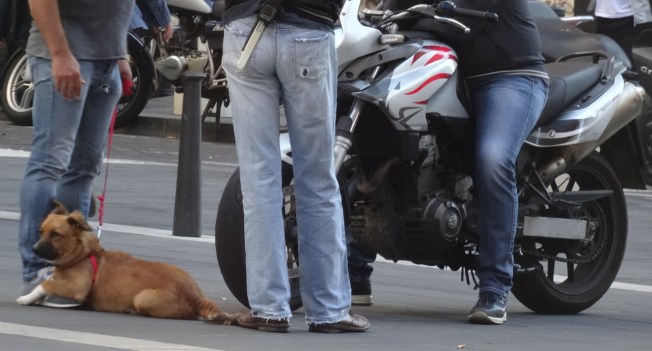 Naples, Italy - always watchful