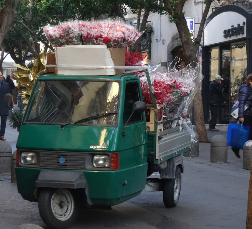 Poinsettia delivery in Naples, Italy