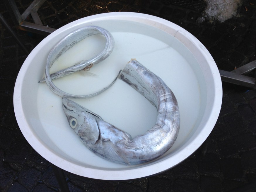Fish for sale this Christmas in Naples, Italy