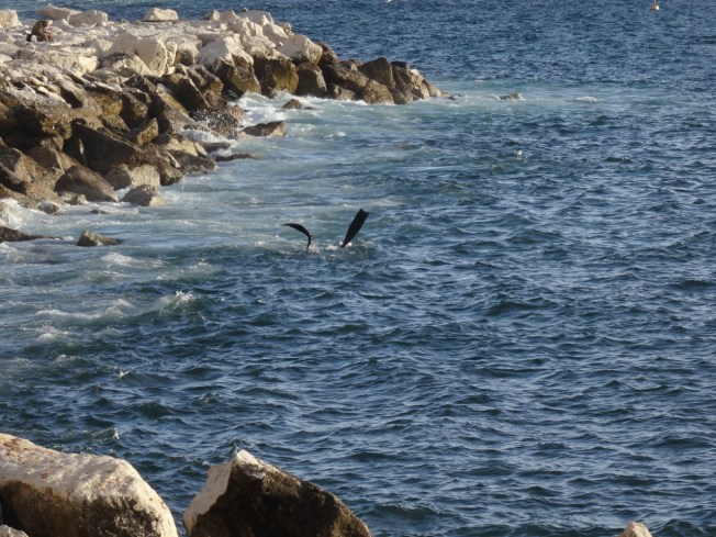 Who knows what is where? 