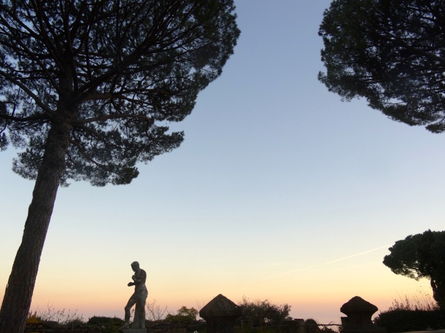 View of the garden on a late evening in December