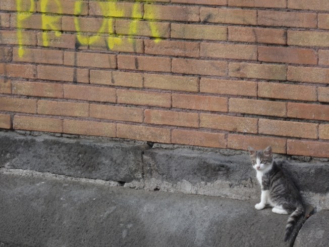 Along the seafront in Naples, Italy