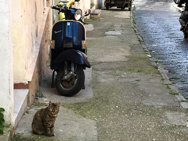 On the island of Procida in Naples, Italy
