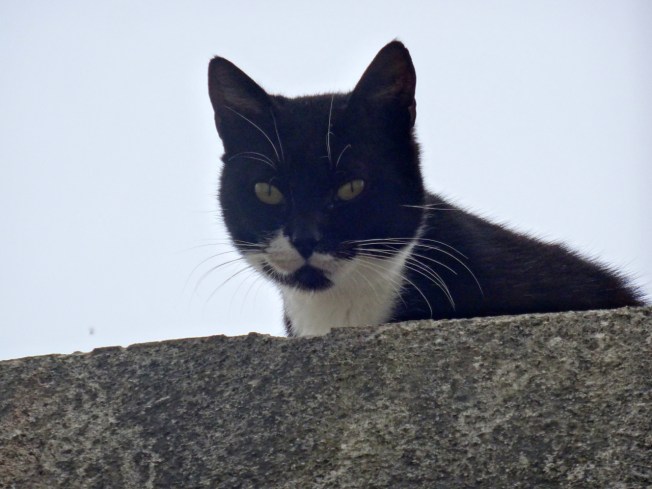On the island of Procida in the Bay of Naples, Italy