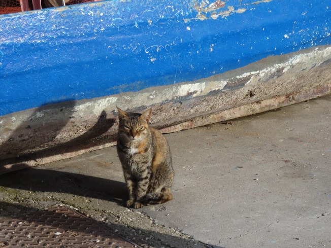 The island of Procida, in the Bay of Naples, Italy
