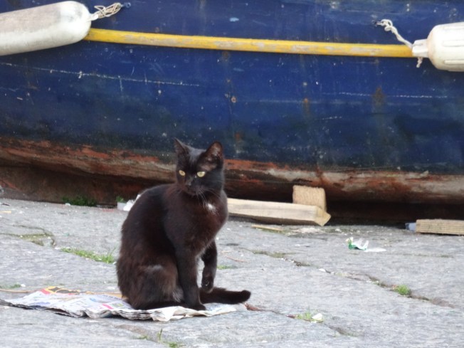 By the old fishing harbour in Pozzuoli, near Naples, Italy
