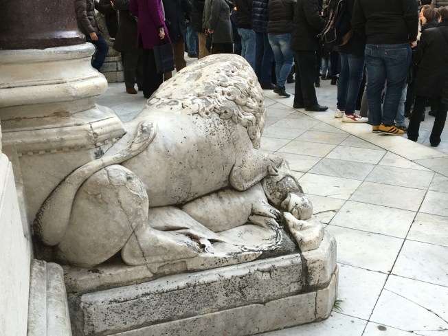 Old lion on the steps of the Duomo in Naples, Italy watches as the crowd of protesters grows