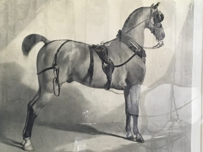 Displayed in the Museo delle Carrozze in Naples, Italy