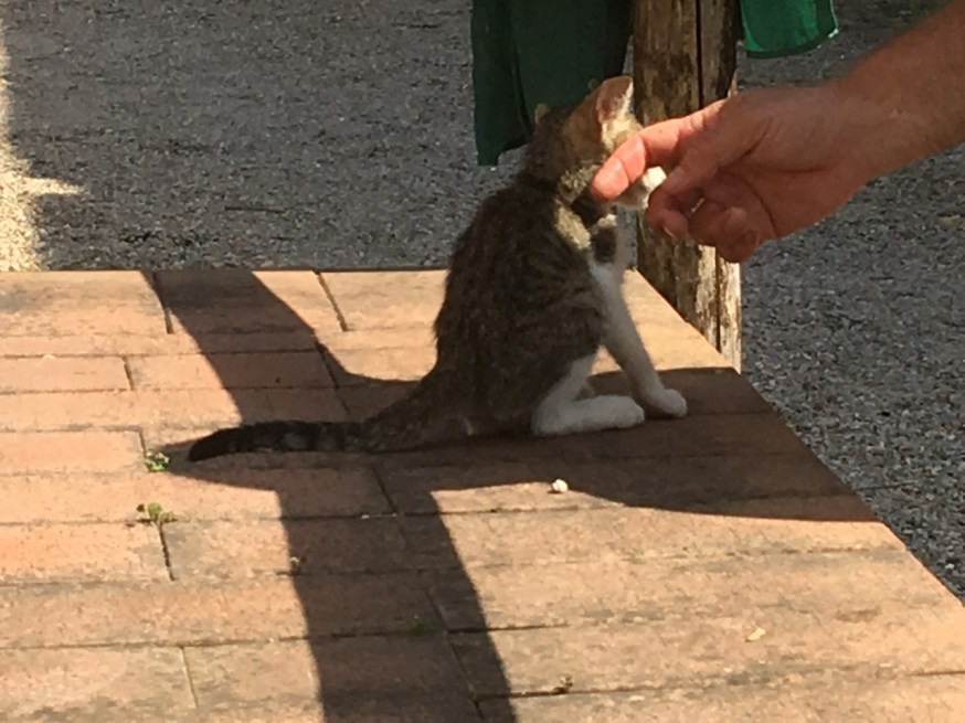 The little doorman at Le Stelle di Giurò - always waiting with a welcome