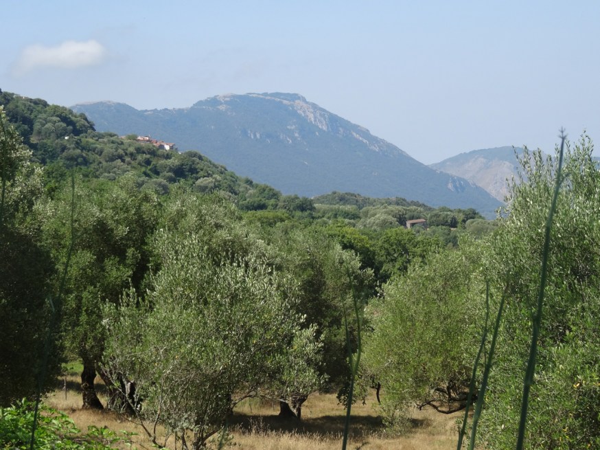 By Roccagloriosa, Cilento in Italy