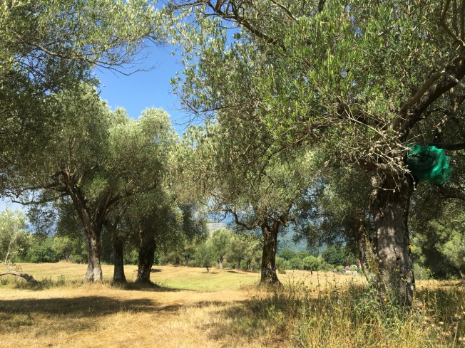 By Roccagloriosa, Cilento in Italy