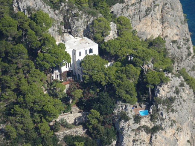 Nest on the cliffs of the island of Capri