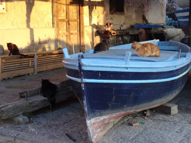 By the old fishing harbour in Pozzuoli, near Naples, Italy
